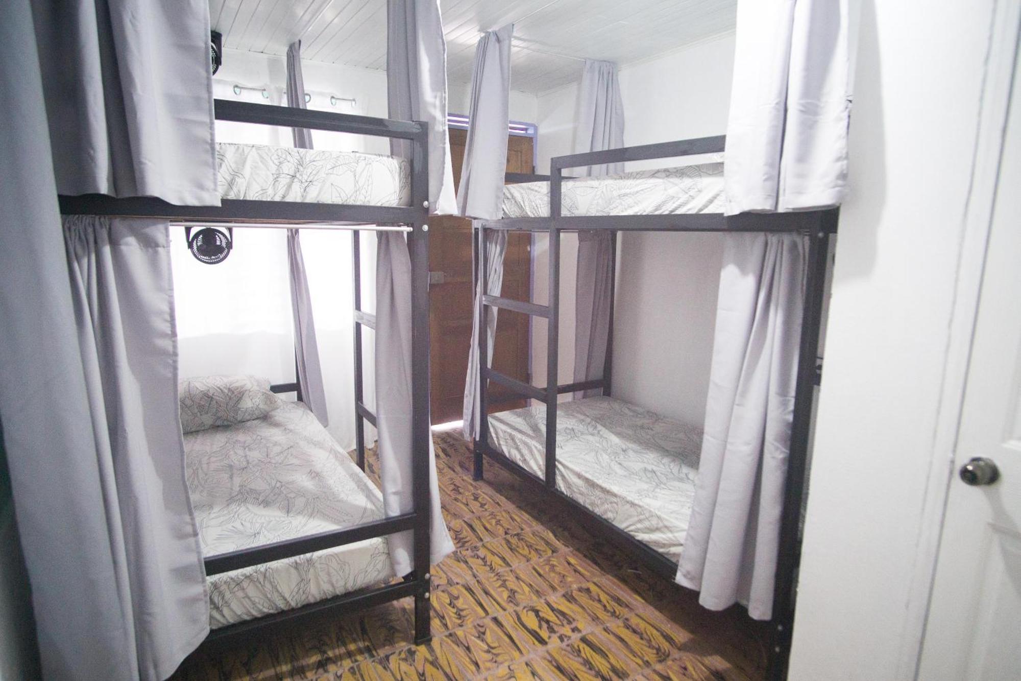 Pura Vibra Hostel La Fortuna 객실 사진