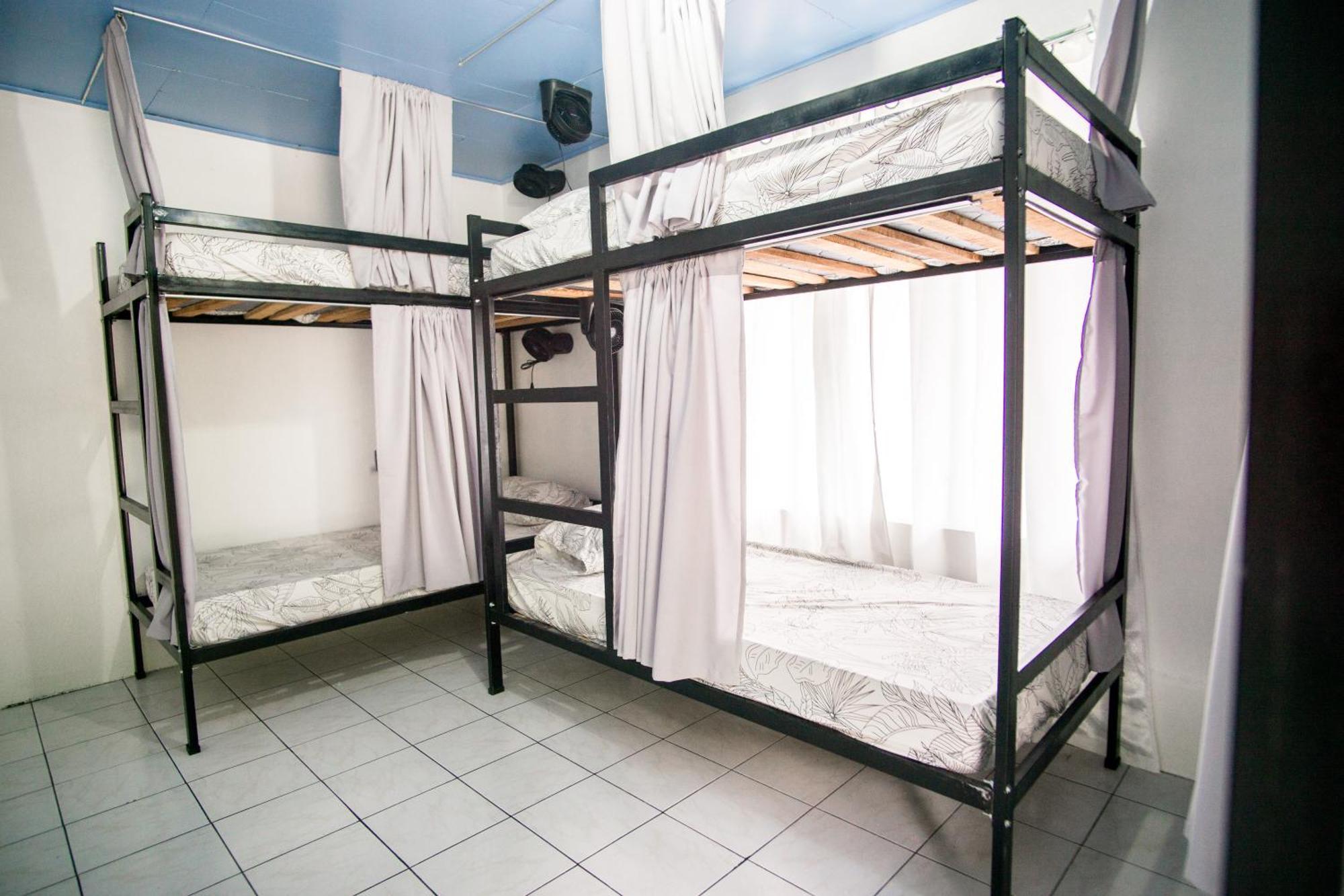 Pura Vibra Hostel La Fortuna 외부 사진
