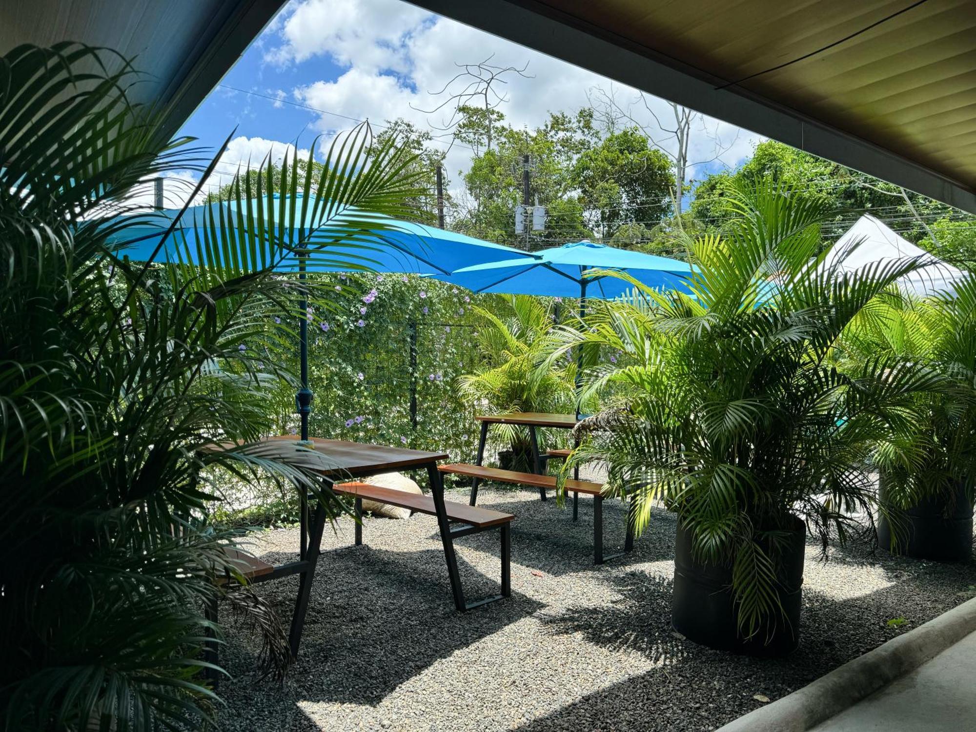Pura Vibra Hostel La Fortuna 외부 사진