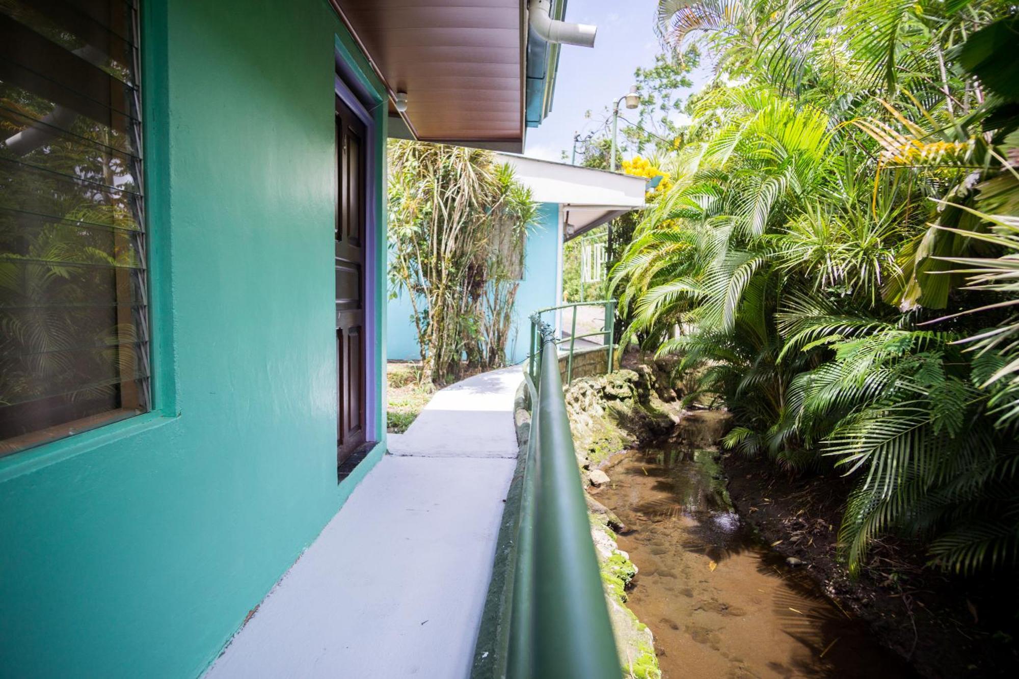 Pura Vibra Hostel La Fortuna 외부 사진